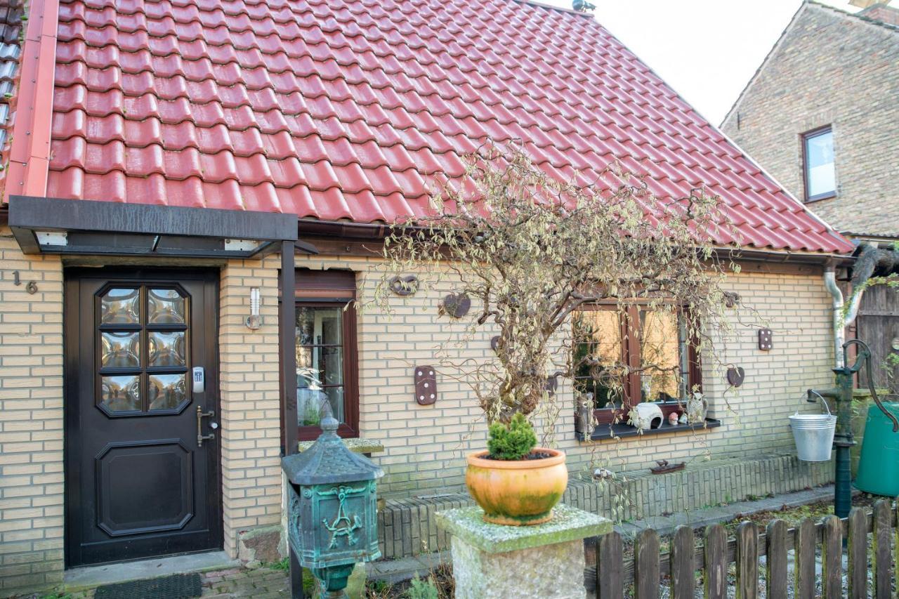Ferienhaus Am Reiterhof 滕普林 外观 照片
